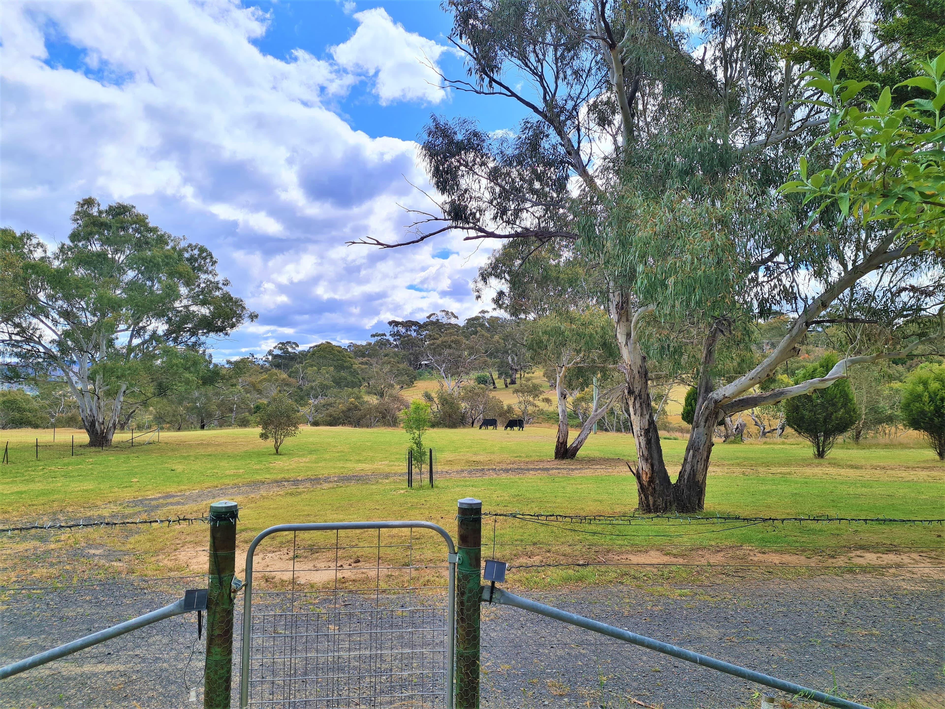 211 Bidgee Road, Cooma, Cooma - Thumbnail 3