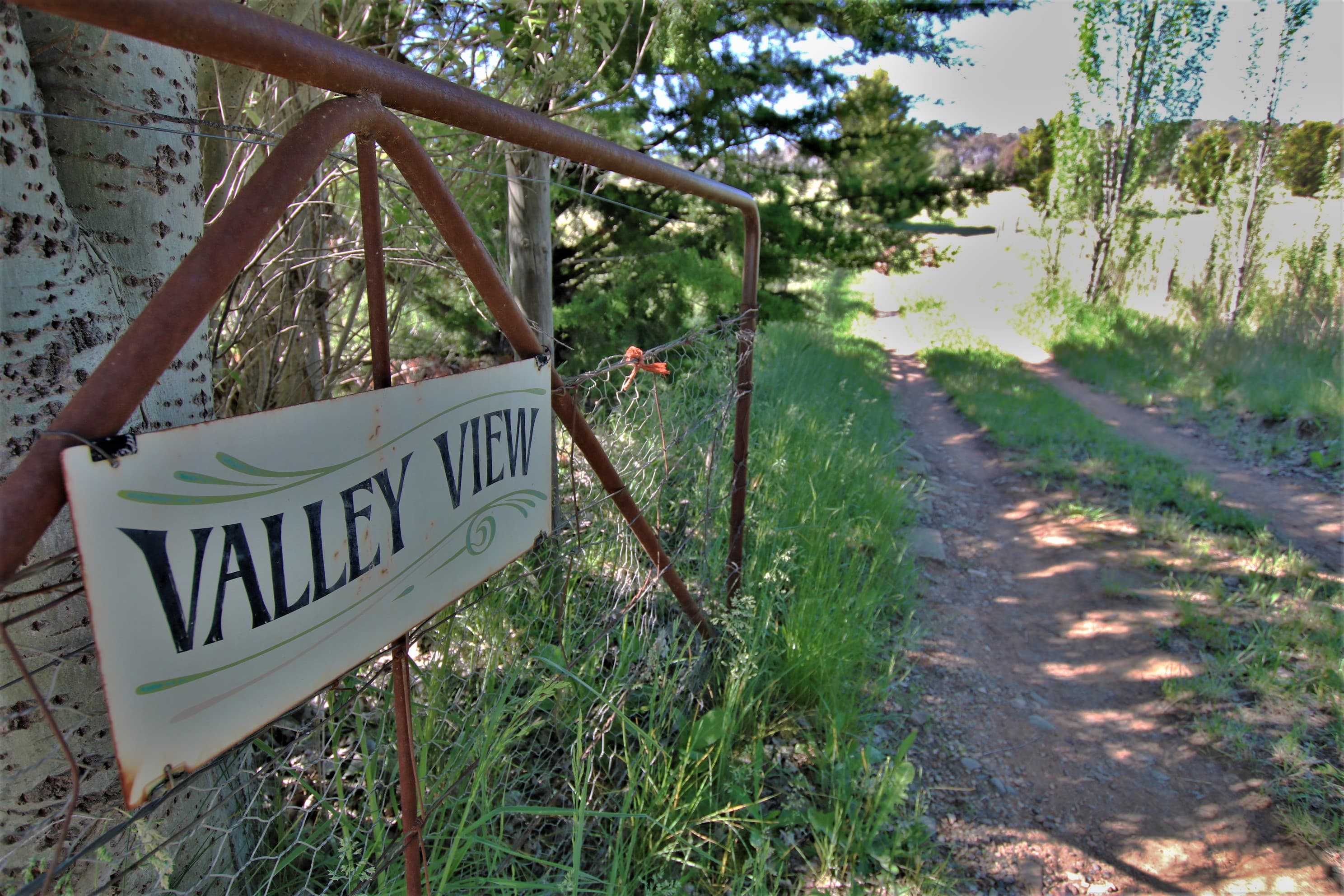 2168 Numeralla Road, Numeralla, Numeralla - Thumbnail 2