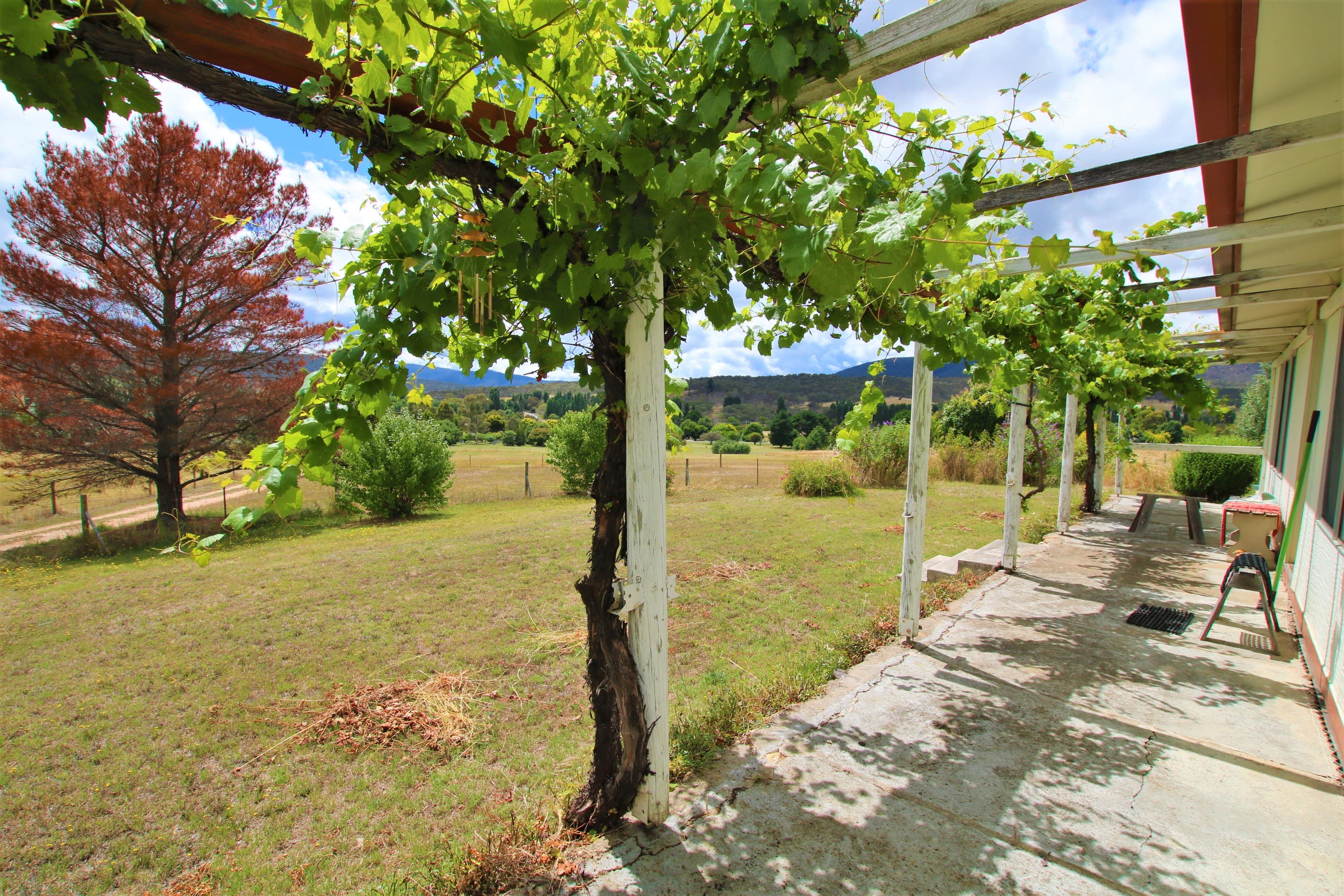 2168 Numeralla Road, Numeralla, Numeralla - Thumbnail 6