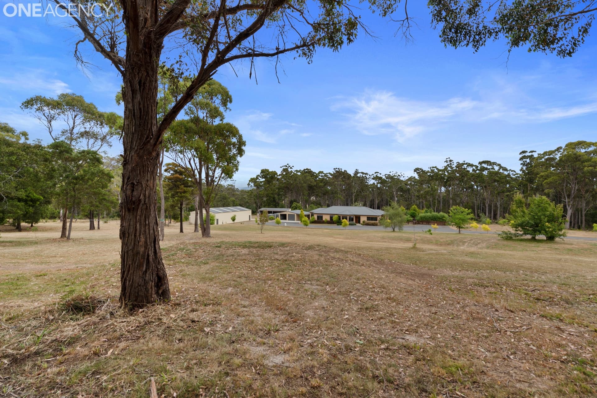 6039 Frankford Road, Wesley Vale, Wesley Vale - Thumbnail 6