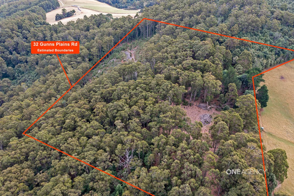 32 Gunns Plains Road, North Motton, North Motton - Thumbnail 2
