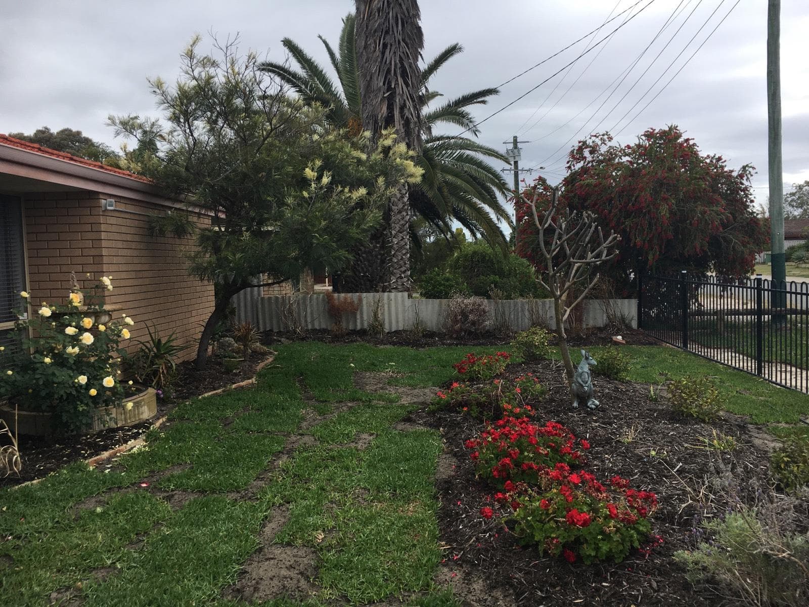 12 Lorikeet Way, Gosnells, Gosnells - Thumbnail 2