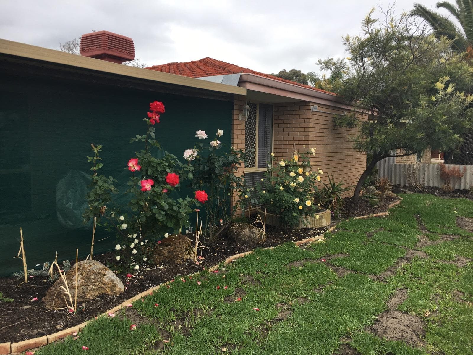 12 Lorikeet Way, Gosnells, Gosnells - Thumbnail 3