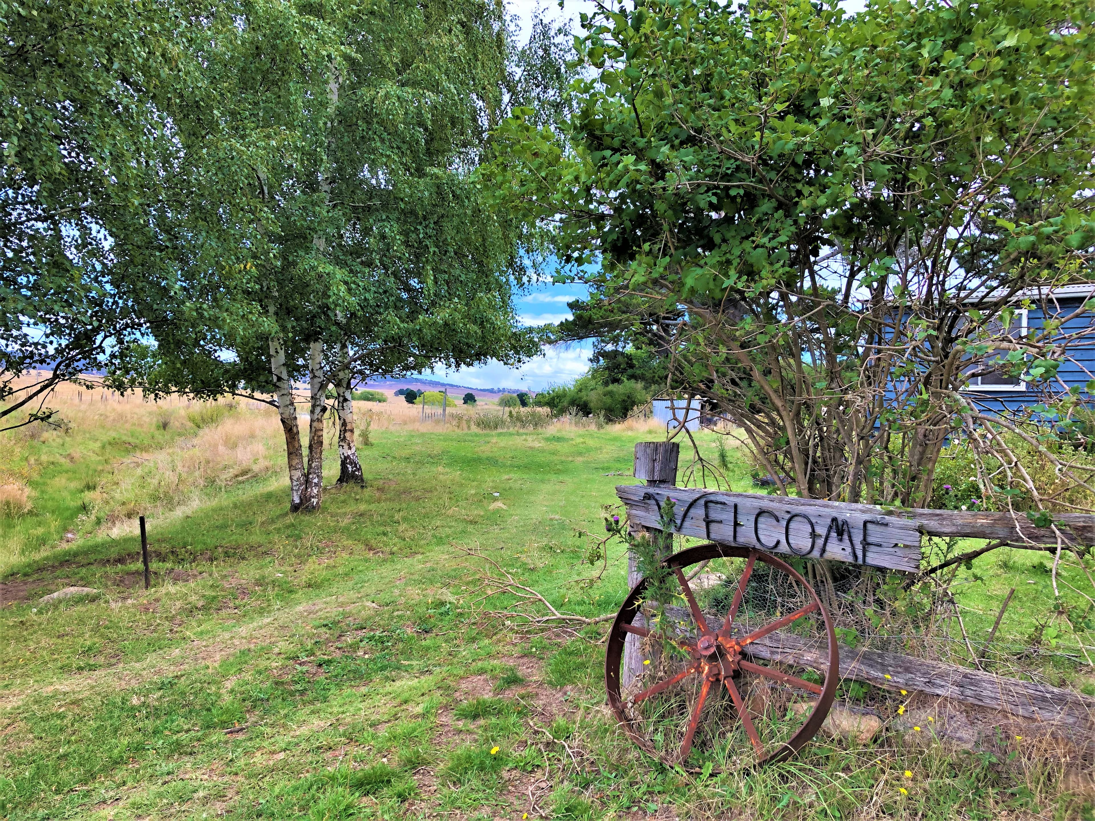 272 Blackburn Creek Road, Dalgety, Dalgety - Thumbnail 2