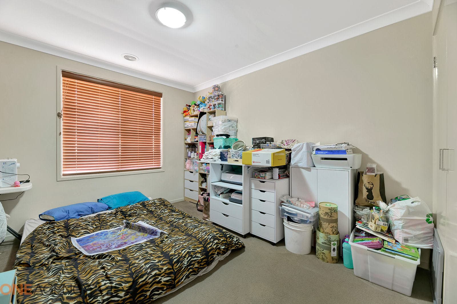 13 Molloy Drive, Orange, Orange - Thumbnail 7