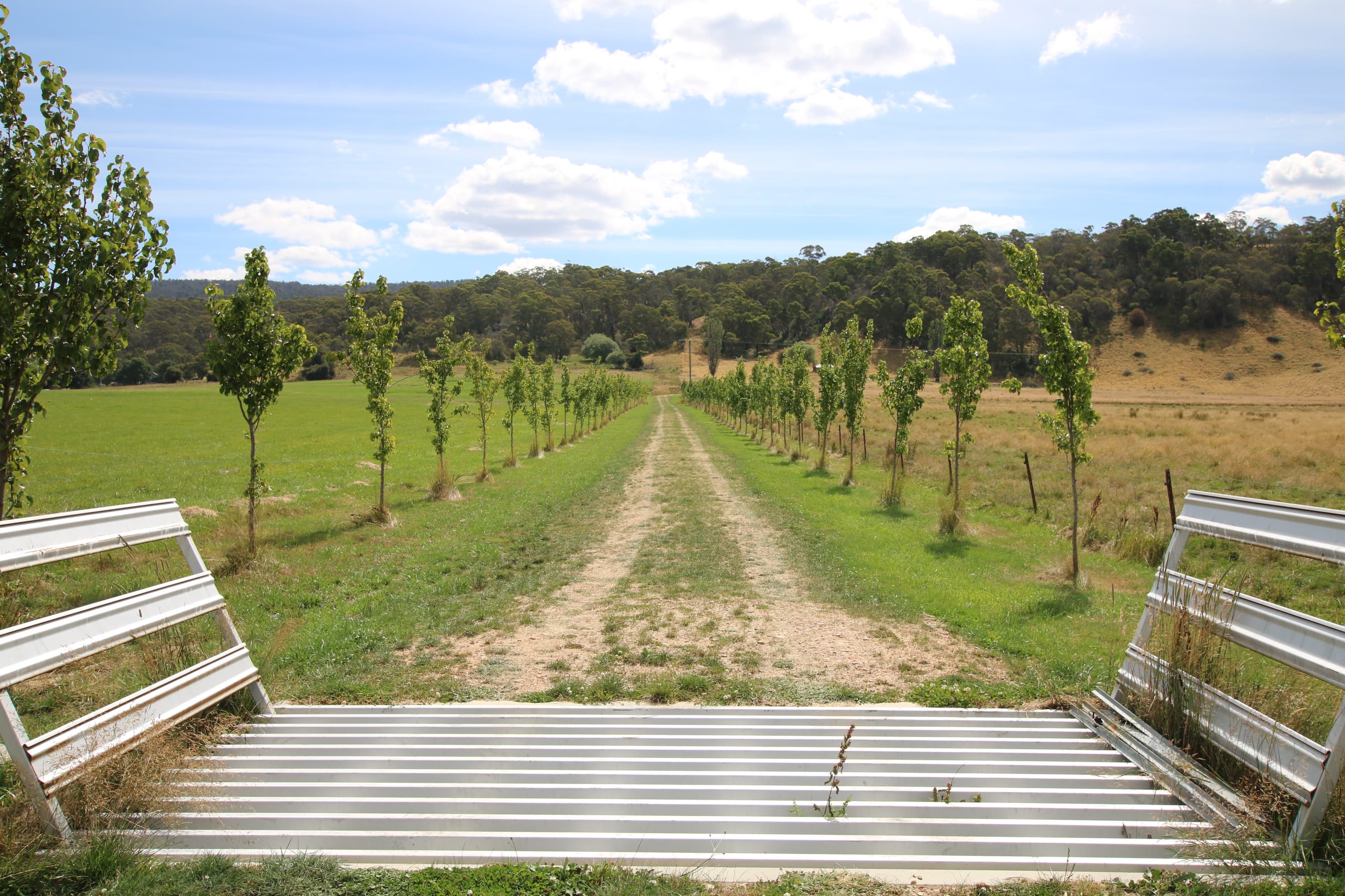 Lot Yaouk Road, Yaouk, Yaouk - Image 1
