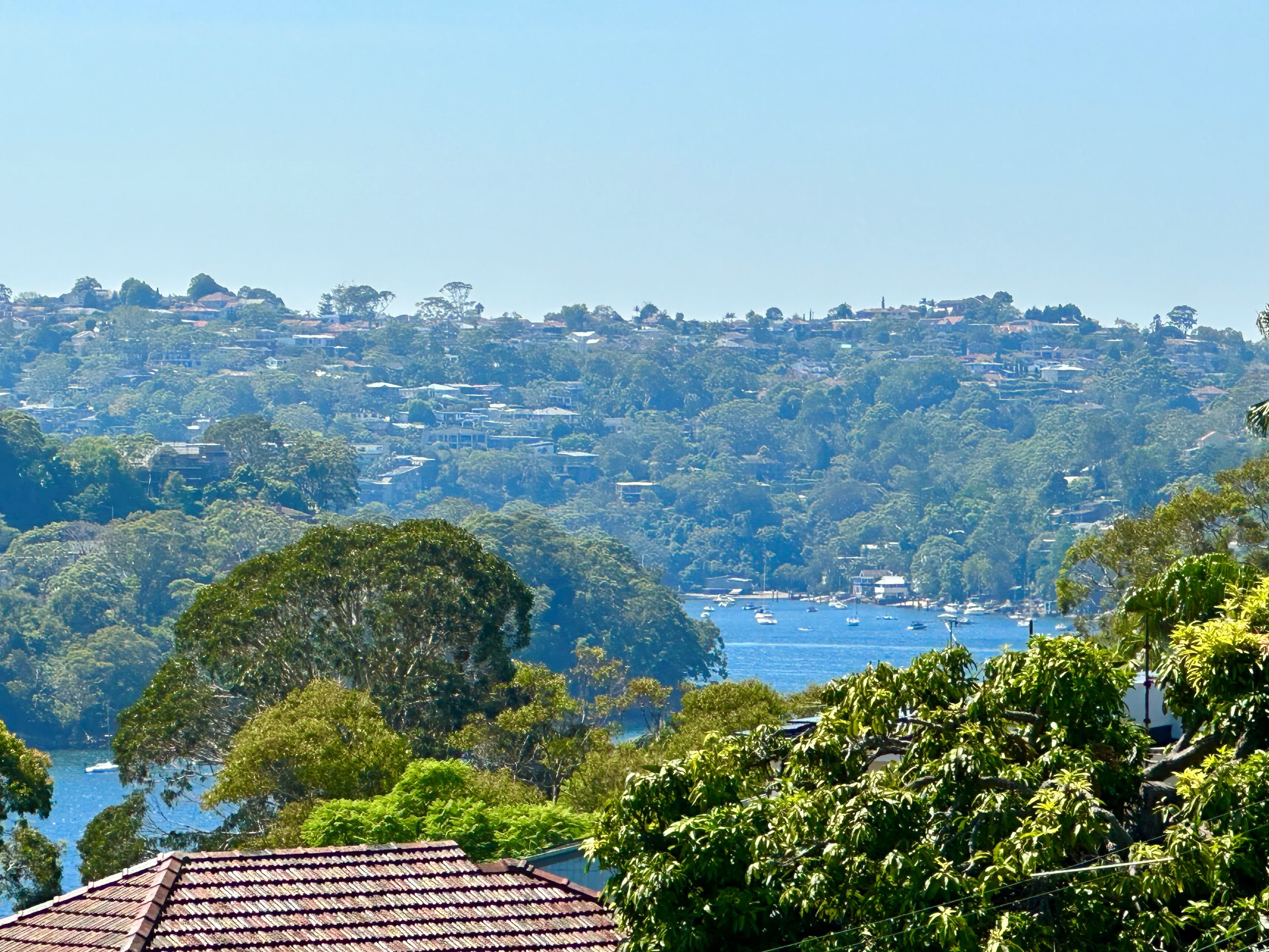 79 Kameruka Road, Northbridge, Northbridge - Thumbnail 4