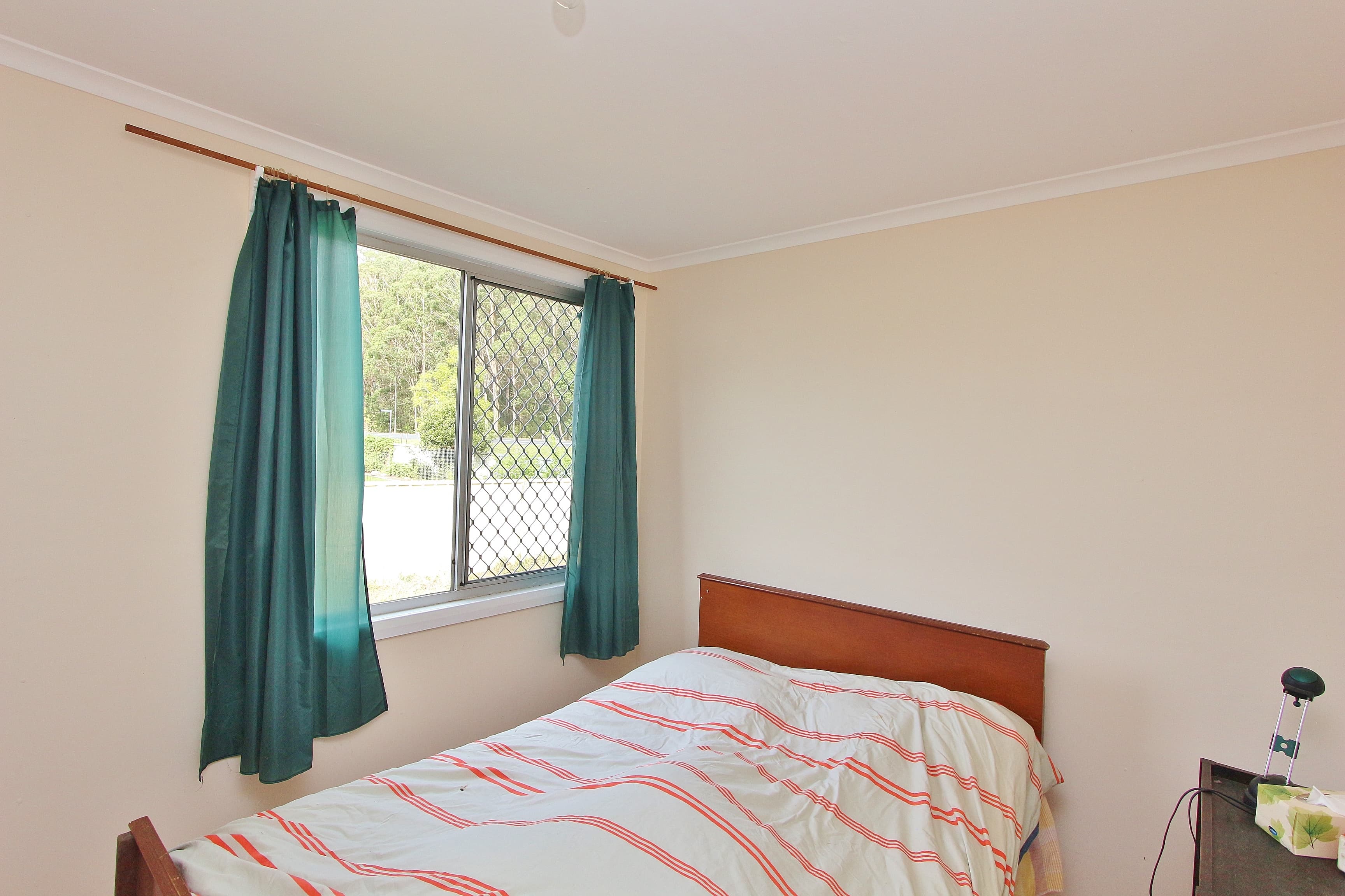 3 Royan Street, Johns River, Johns River - Thumbnail 6