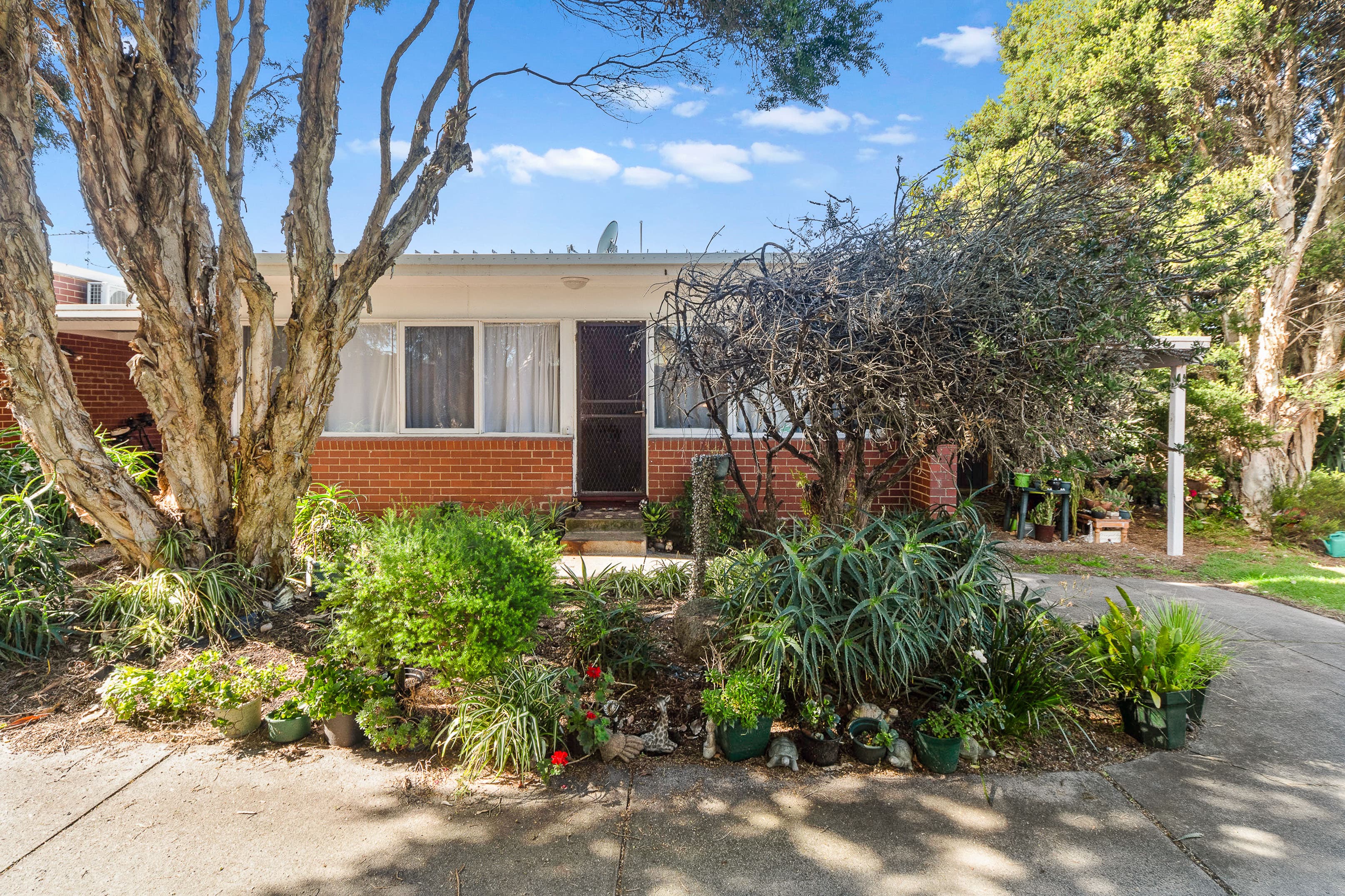 1/2 Worwong Avenue, Somerville, Somerville - Image 1