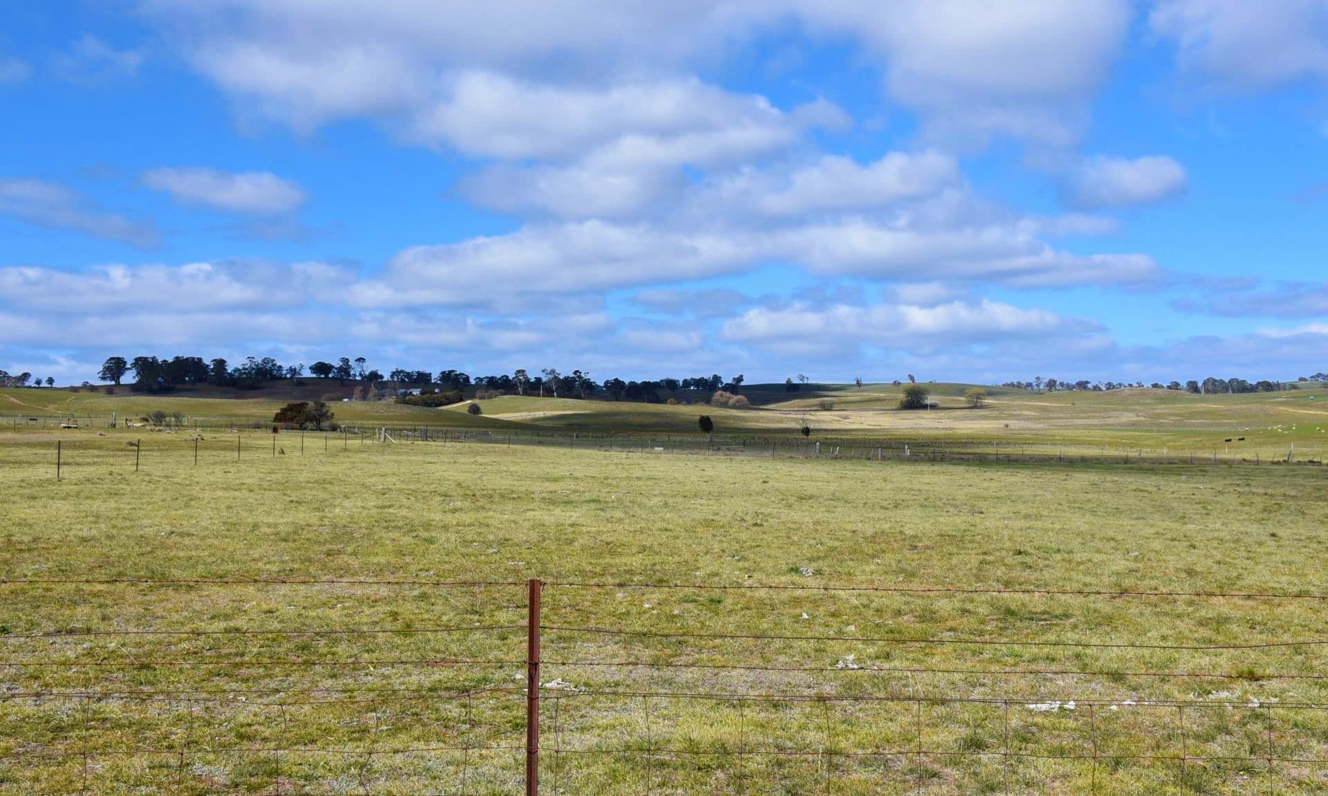 5 Donald Street, Bibbenluke, Bibbenluke - Thumbnail 6