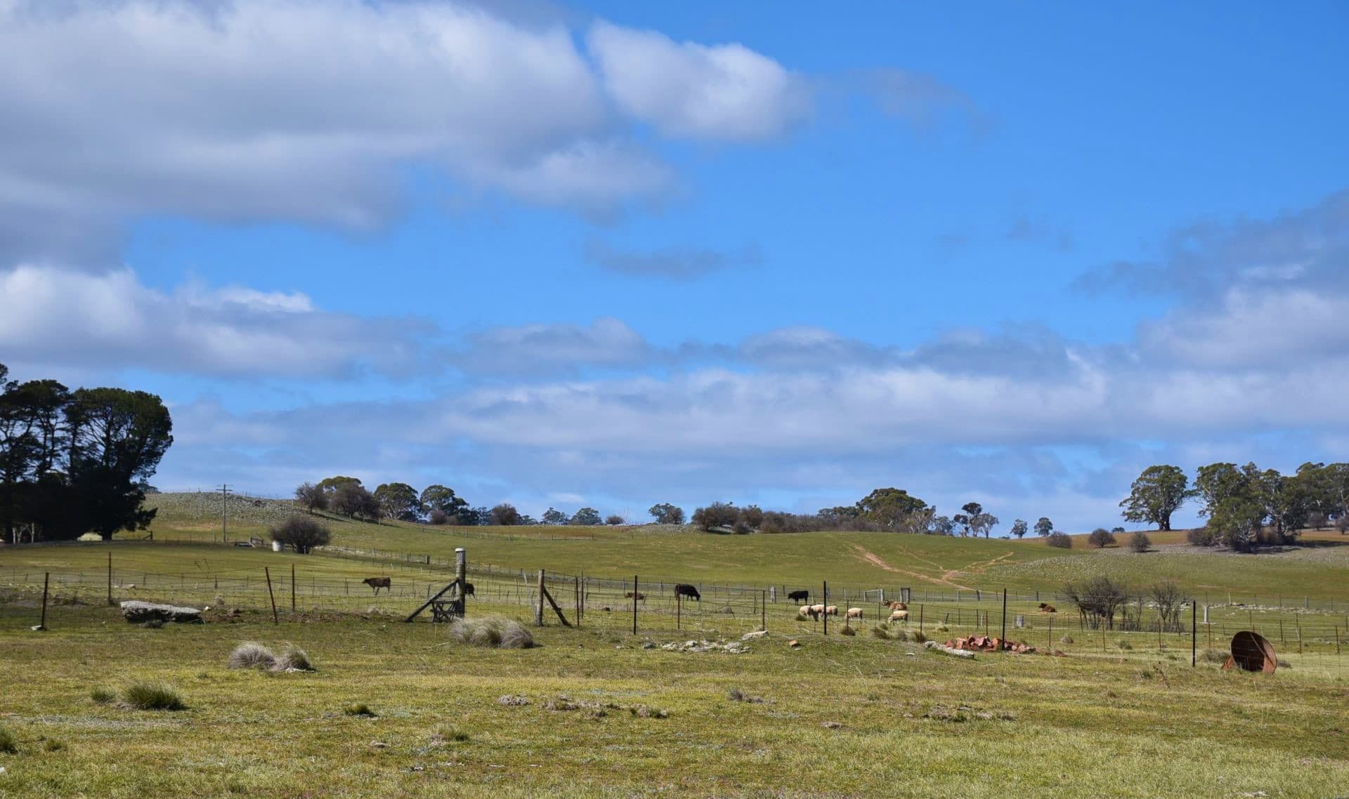 5 Donald Street, Bibbenluke, Bibbenluke - Thumbnail 7