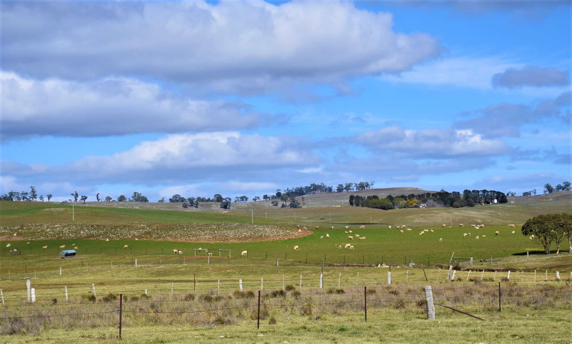 5 Donald Street, Bibbenluke, Bibbenluke - Thumbnail 8