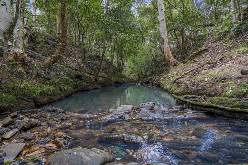 2516 The Bucketts Way, Belbora, Belbora - Thumbnail 6