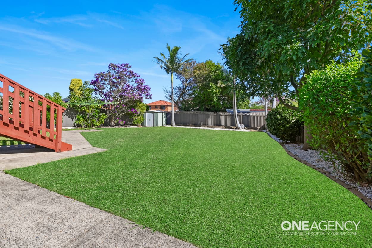 59 Wolli Street, Kingsgrove, Kingsgrove - Thumbnail 2