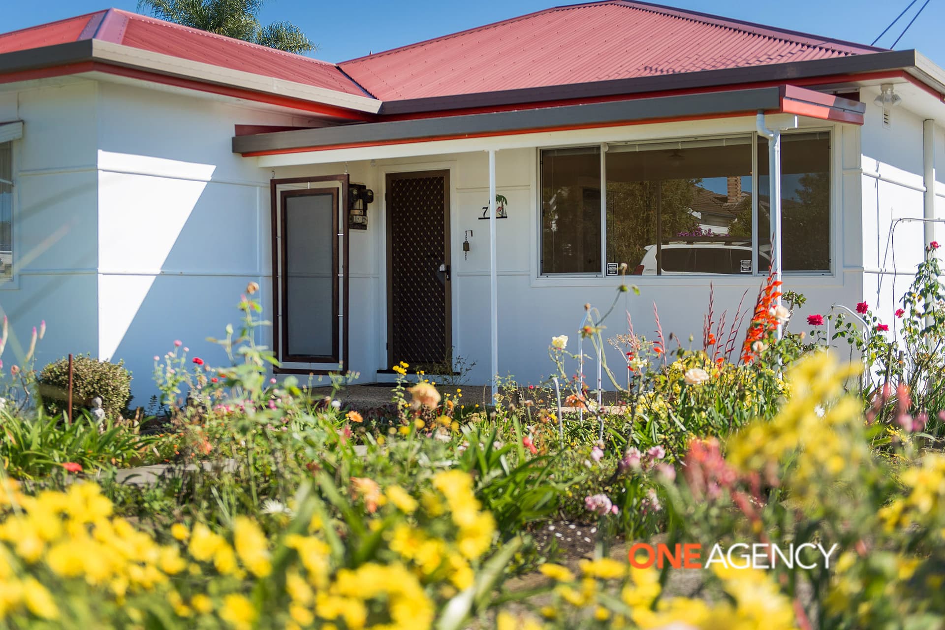 7 Campbell Street, Wauchope, Wauchope - Thumbnail 3