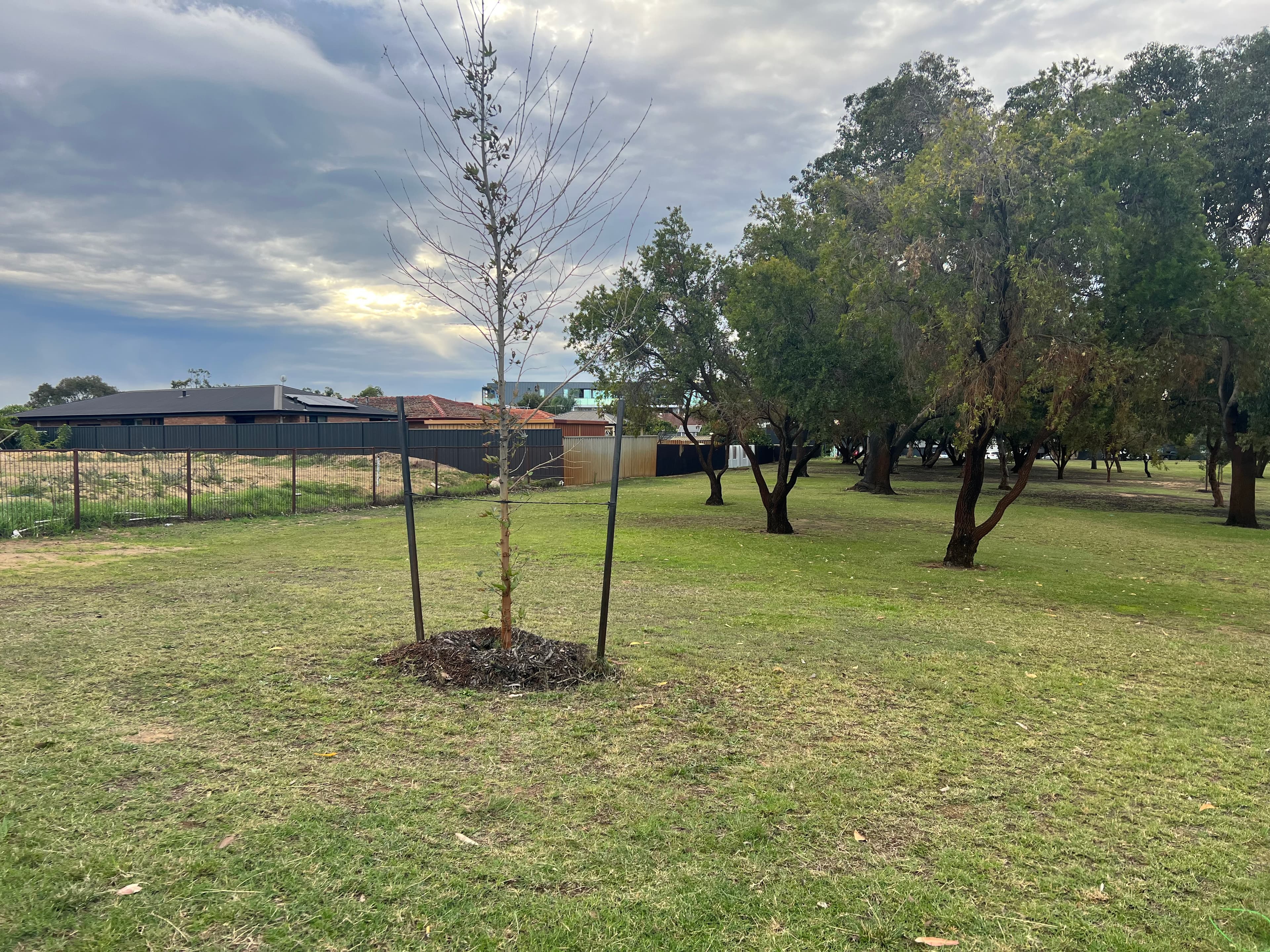 3 Spoonbill Road, Stirling, Stirling - Thumbnail 8