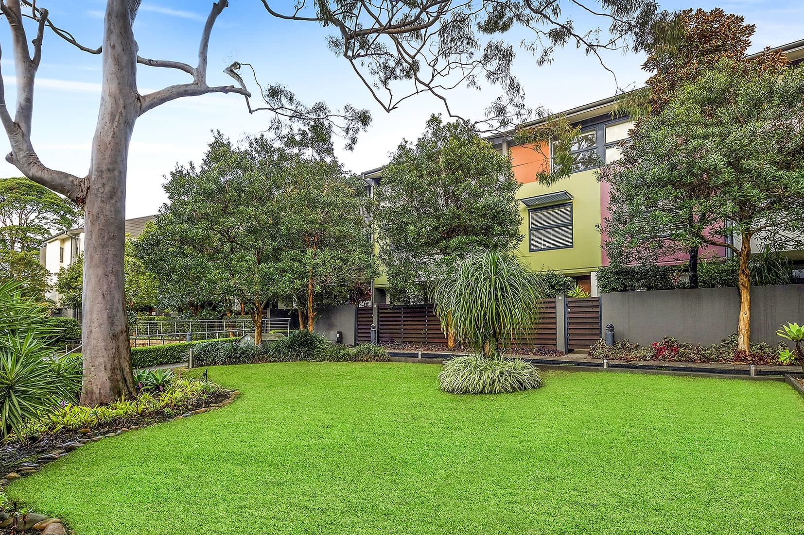D102/2-4 Darley Street, Forestville, Forestville - Thumbnail 5
