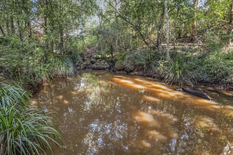 2945 Wallanbah Road, Dyers Crossing, Dyers Crossing - Thumbnail 3