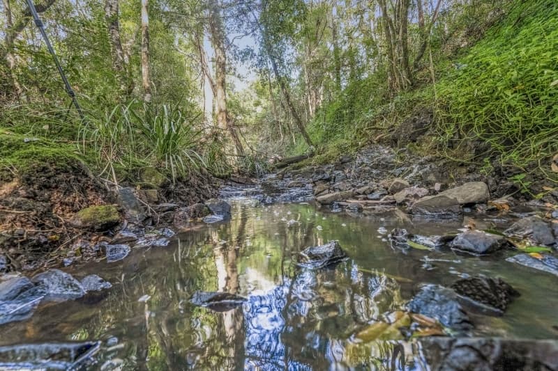 2945 Wallanbah Road, Dyers Crossing, Dyers Crossing - Thumbnail 4