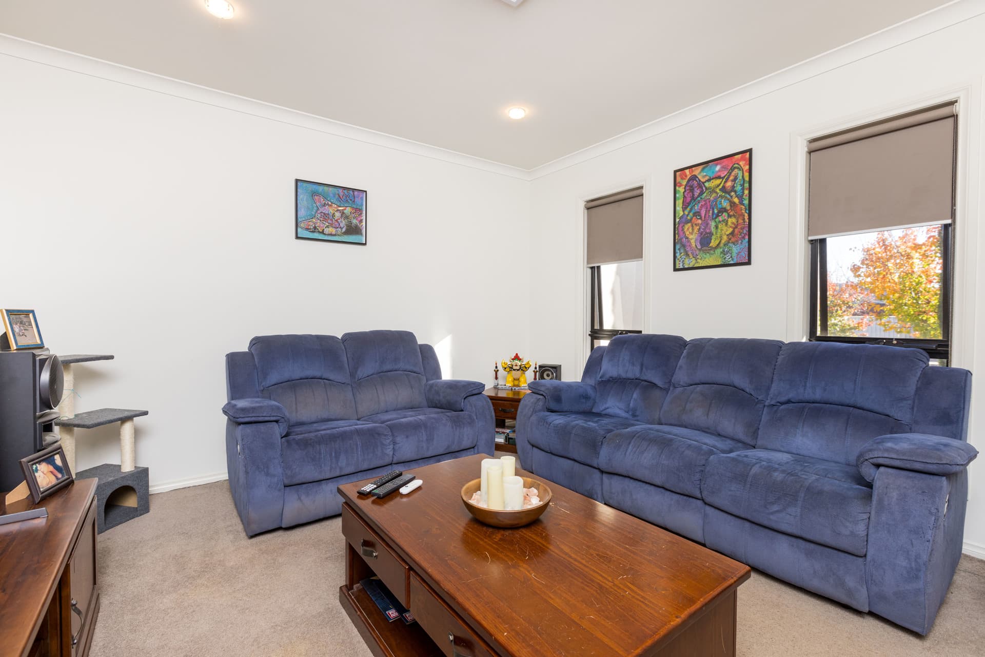 1 Condor Drive, Mildura, Mildura - Thumbnail 8