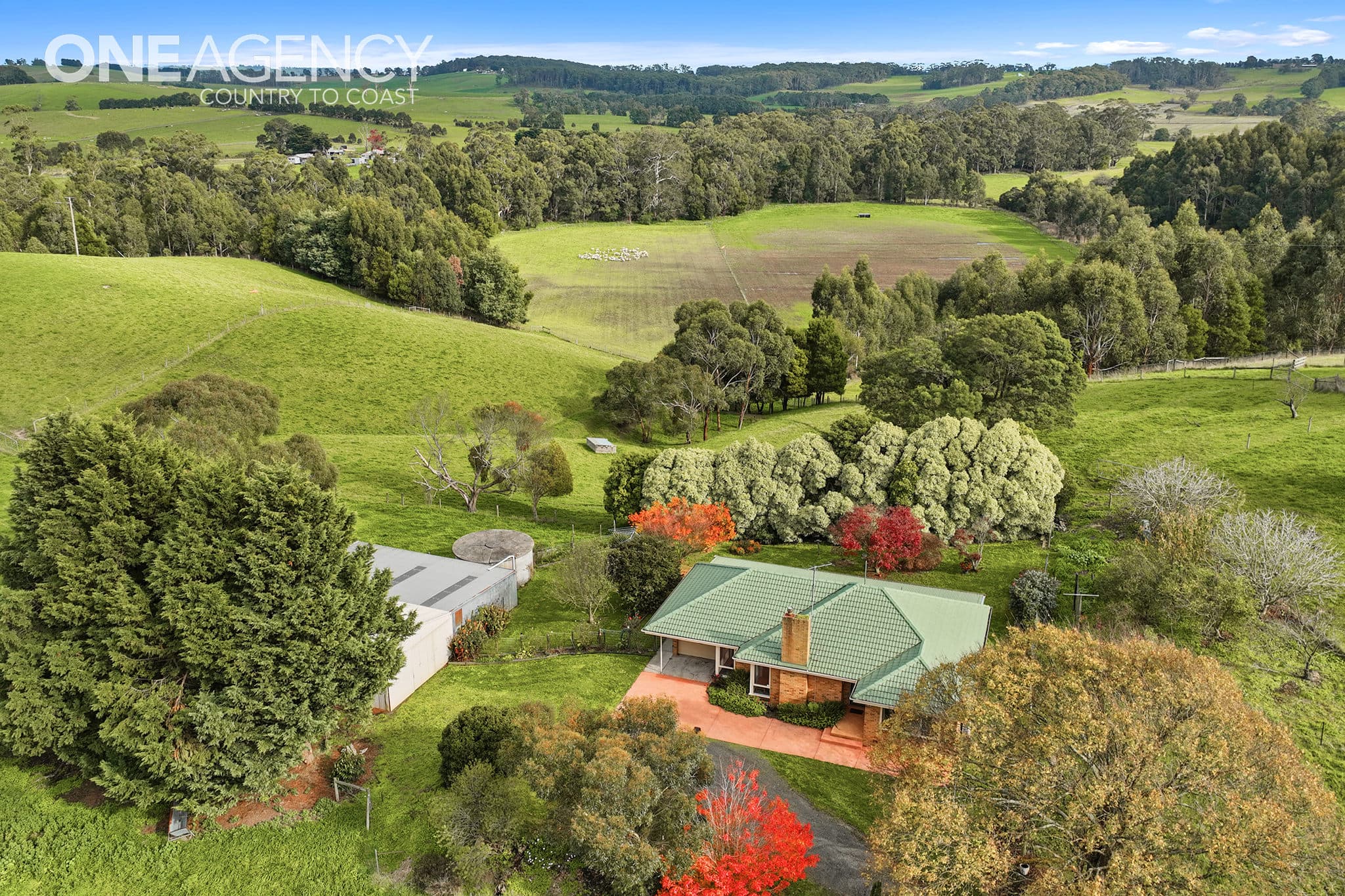 1756 Main South Road, Hallora, Hallora - Thumbnail 2