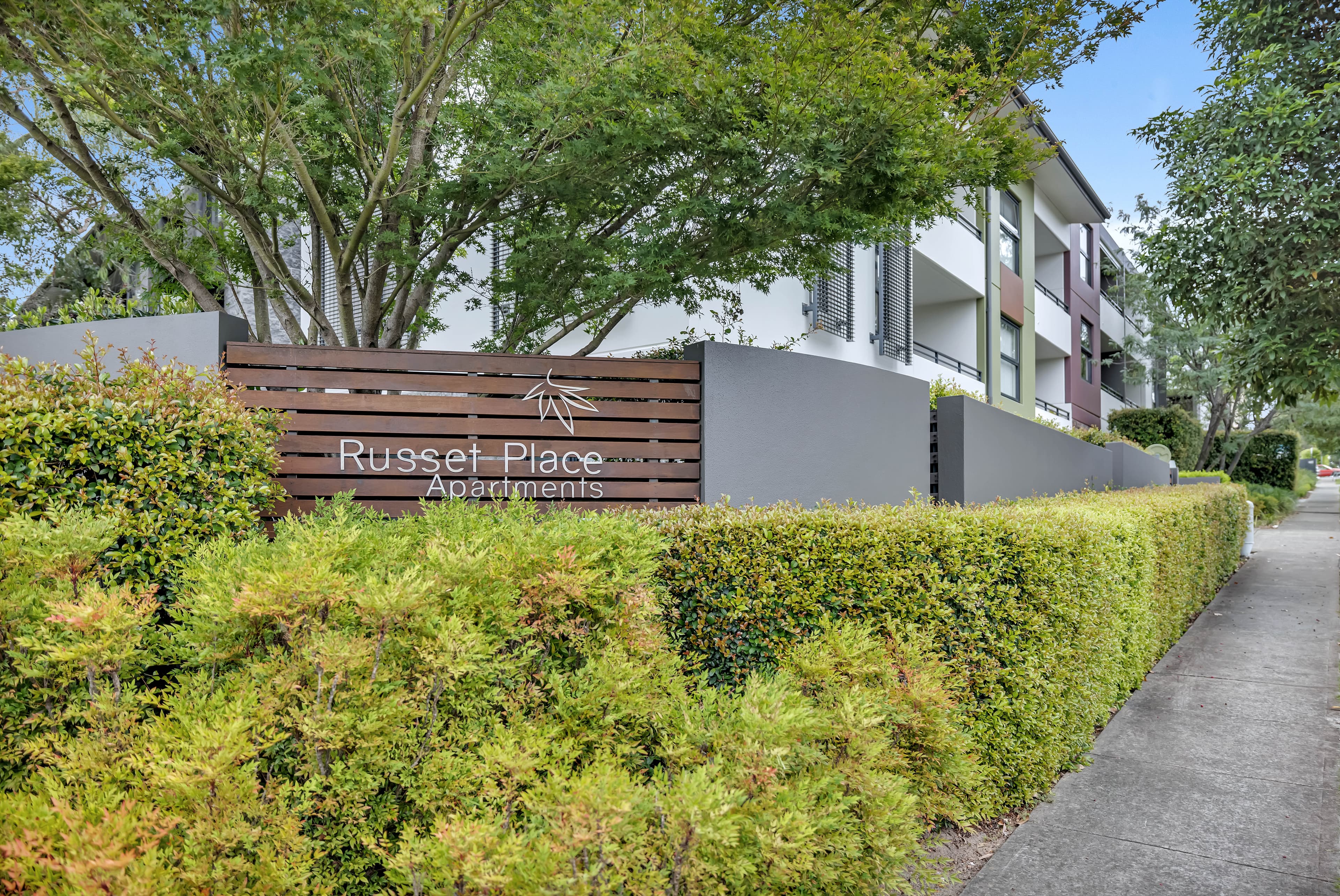 203C/2-4 Darley Street, Forestville, Forestville - Thumbnail 2