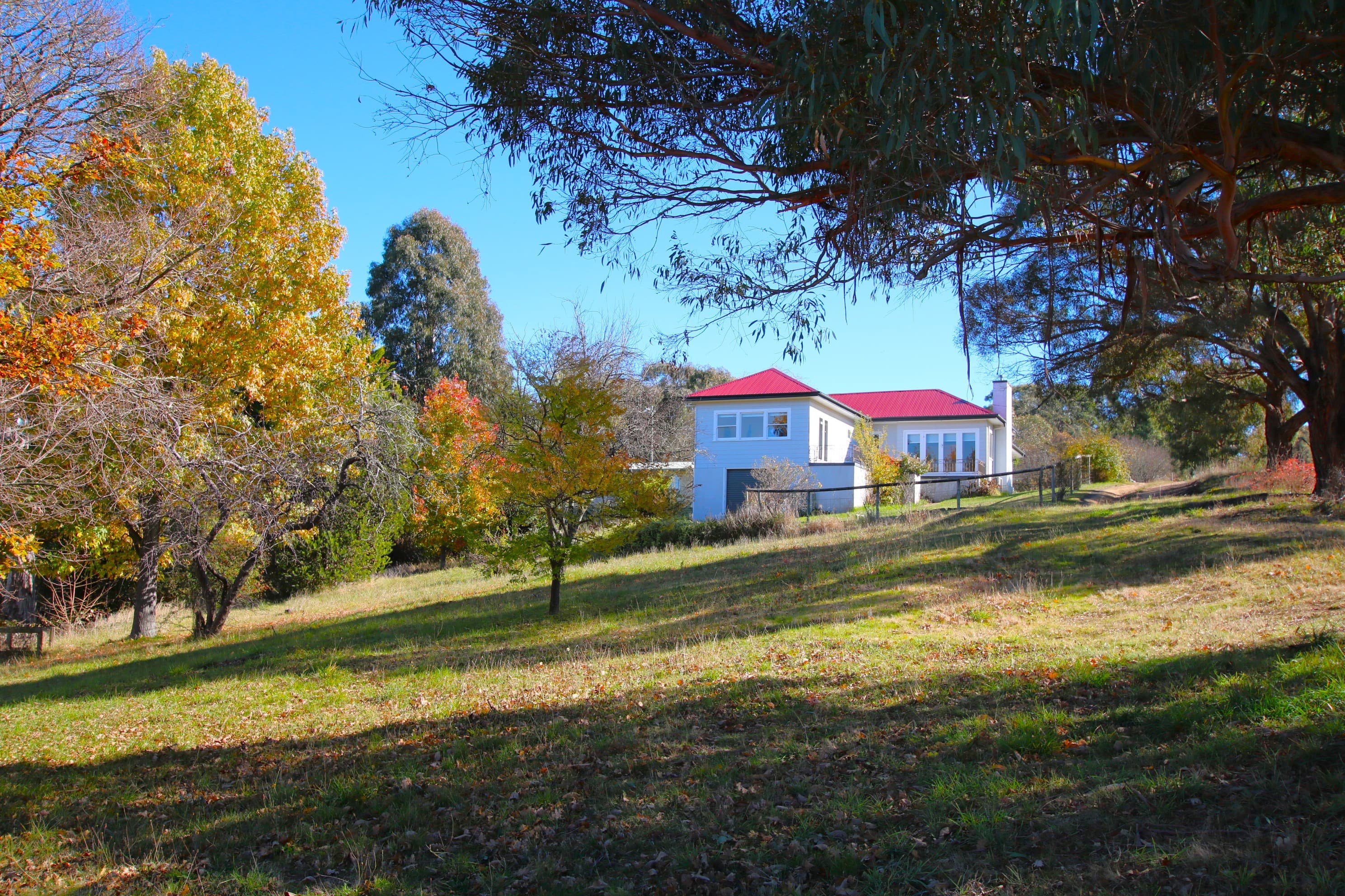 18-24 Plunkett Street, Bombala, Bombala - Thumbnail 4