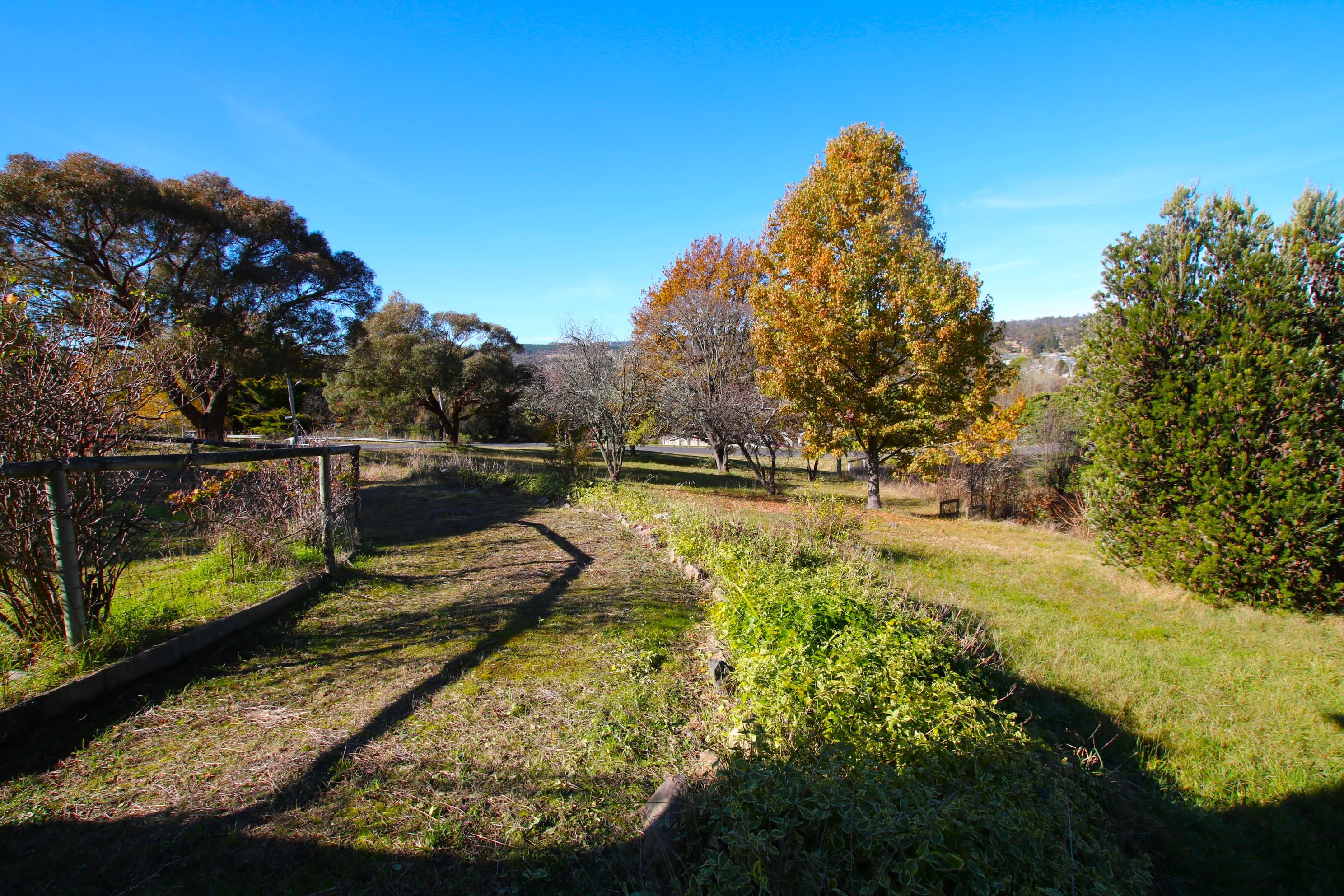 18-24 Plunkett Street, Bombala, Bombala - Thumbnail 6