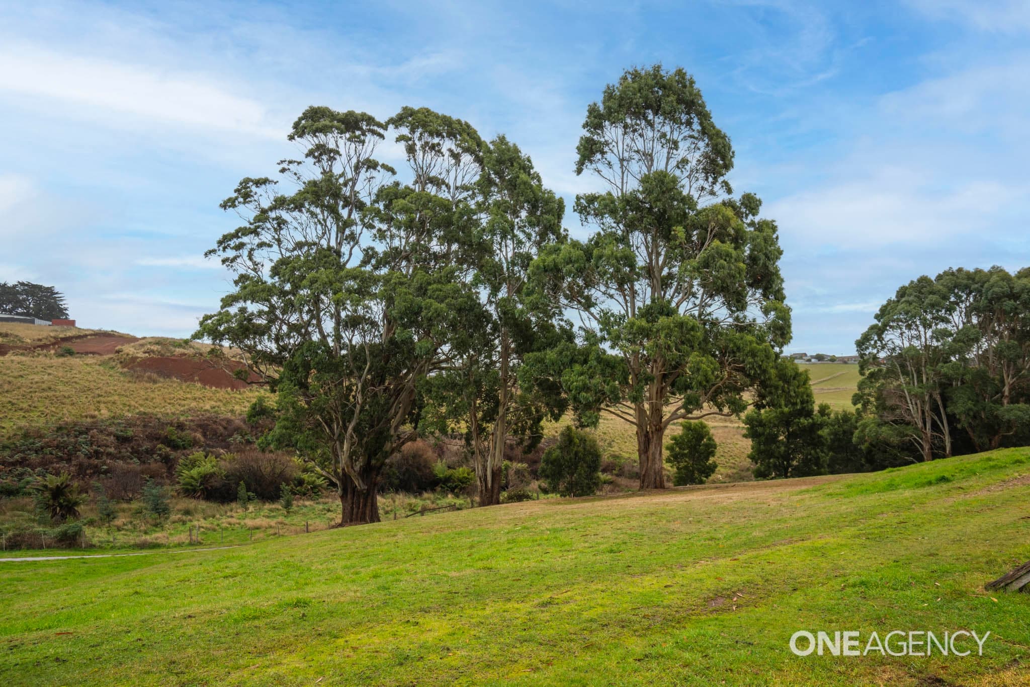 50 Ogden Street, Acton, Acton - Thumbnail 2