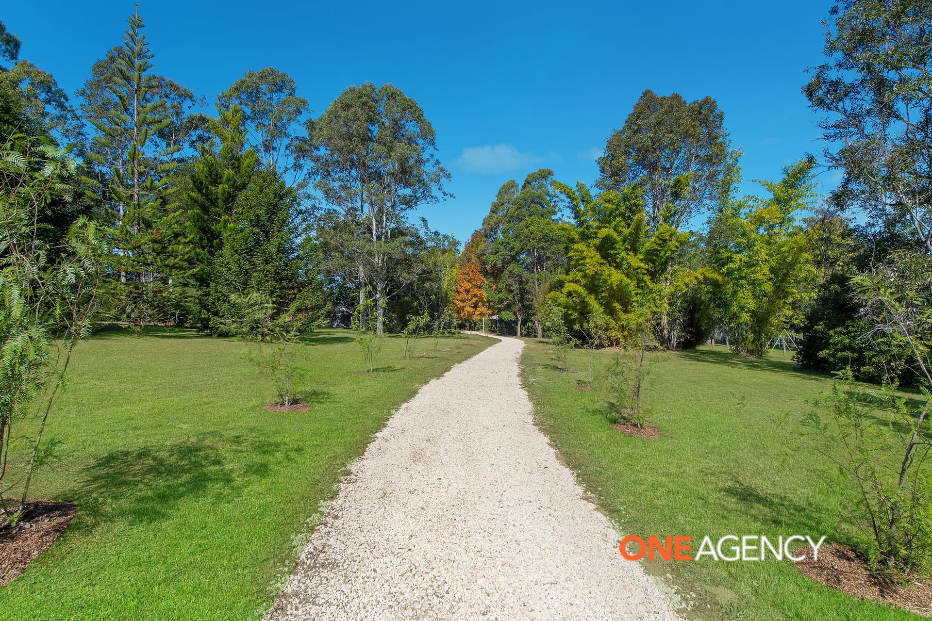 3 Grey Gum Place, Beechwood, Beechwood - Thumbnail 5