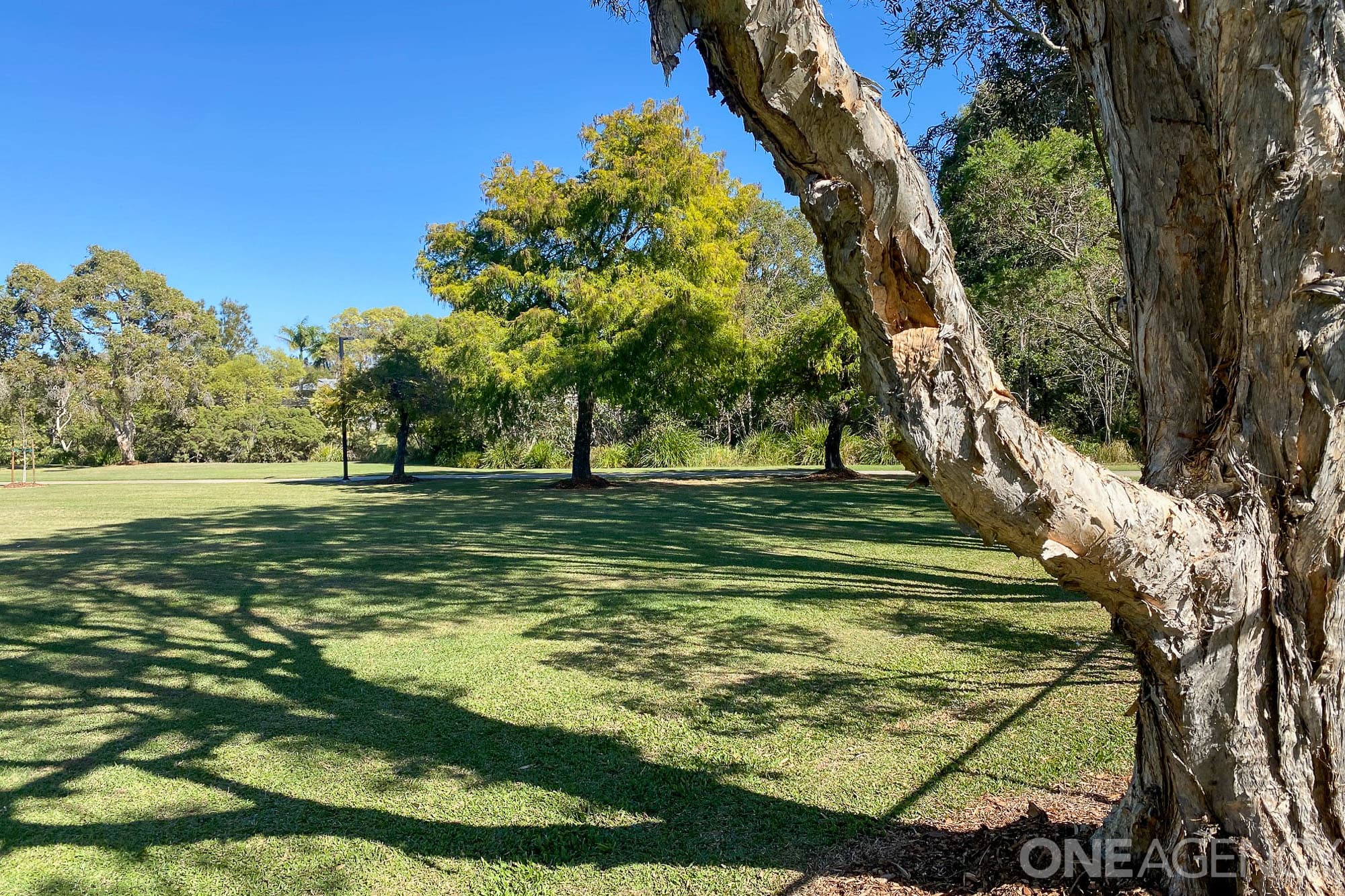 20 Pownall Crescent, Margate, Margate - Thumbnail 4