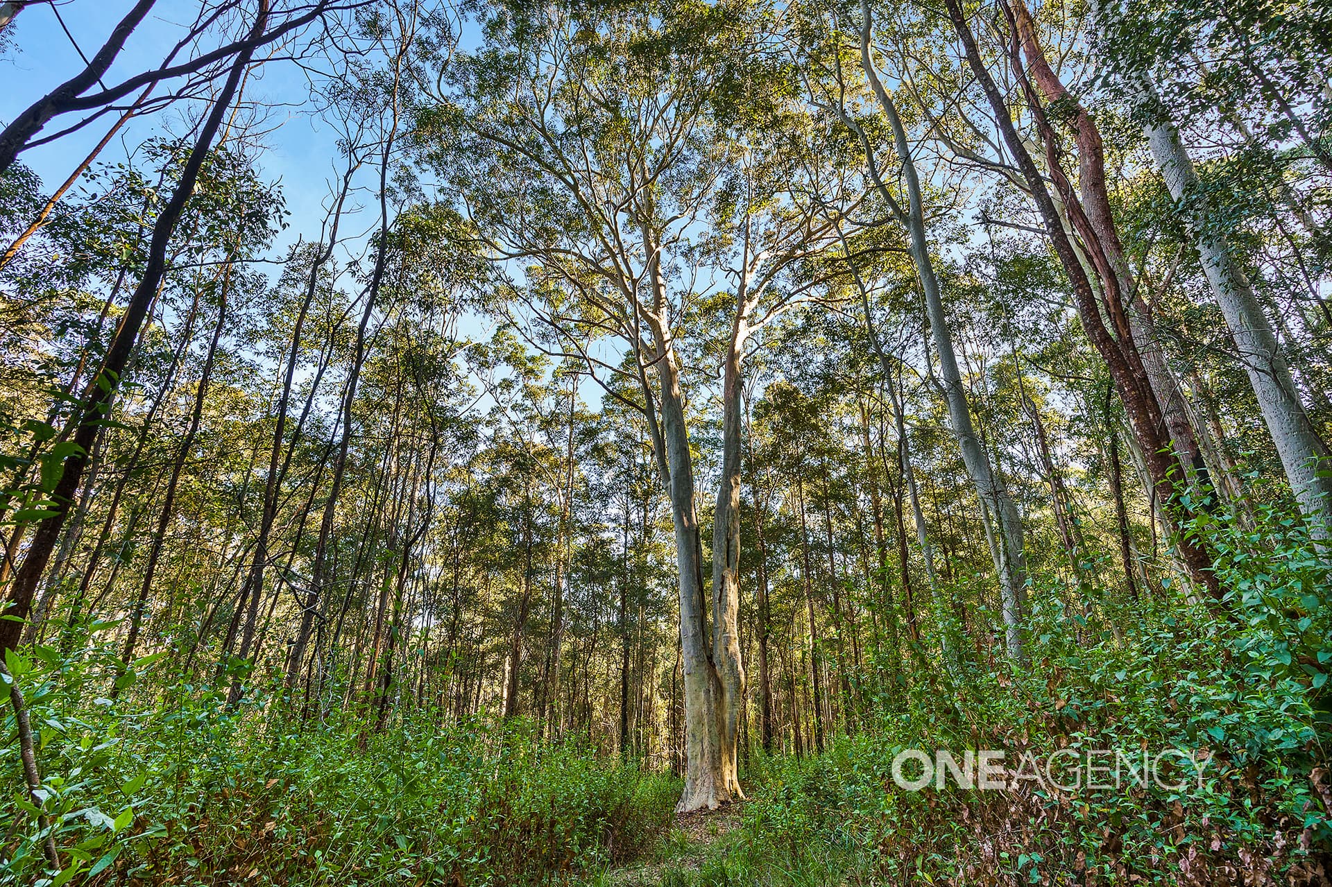 33A Battunga Drive, Tomerong, Tomerong - Thumbnail 2