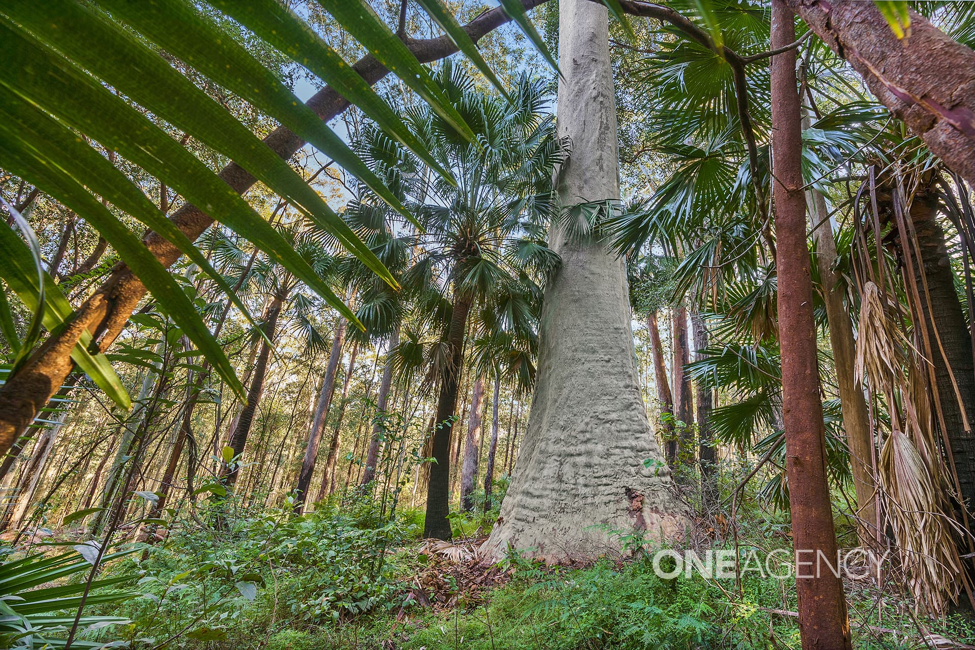 33A Battunga Drive, Tomerong, Tomerong - Image 1
