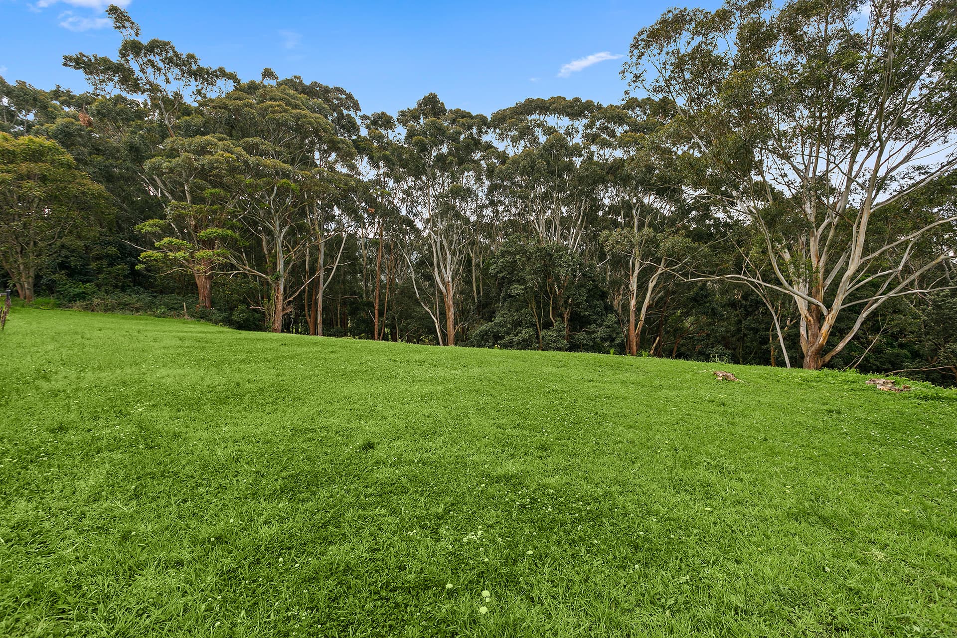 57 Princes Highway, Thirroul, Thirroul - Thumbnail 5