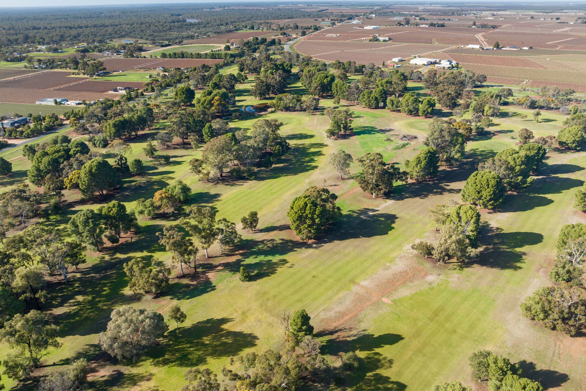 15 Glenda Court, Robinvale, Robinvale - Thumbnail 6
