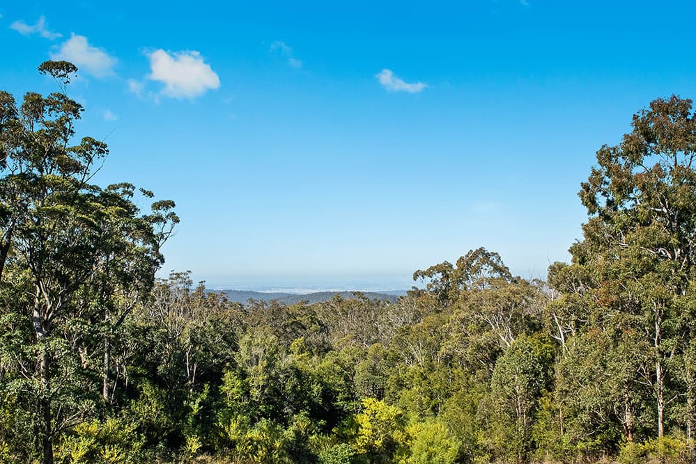 510 Moonabung Road, Vacy, Vacy - Thumbnail 4