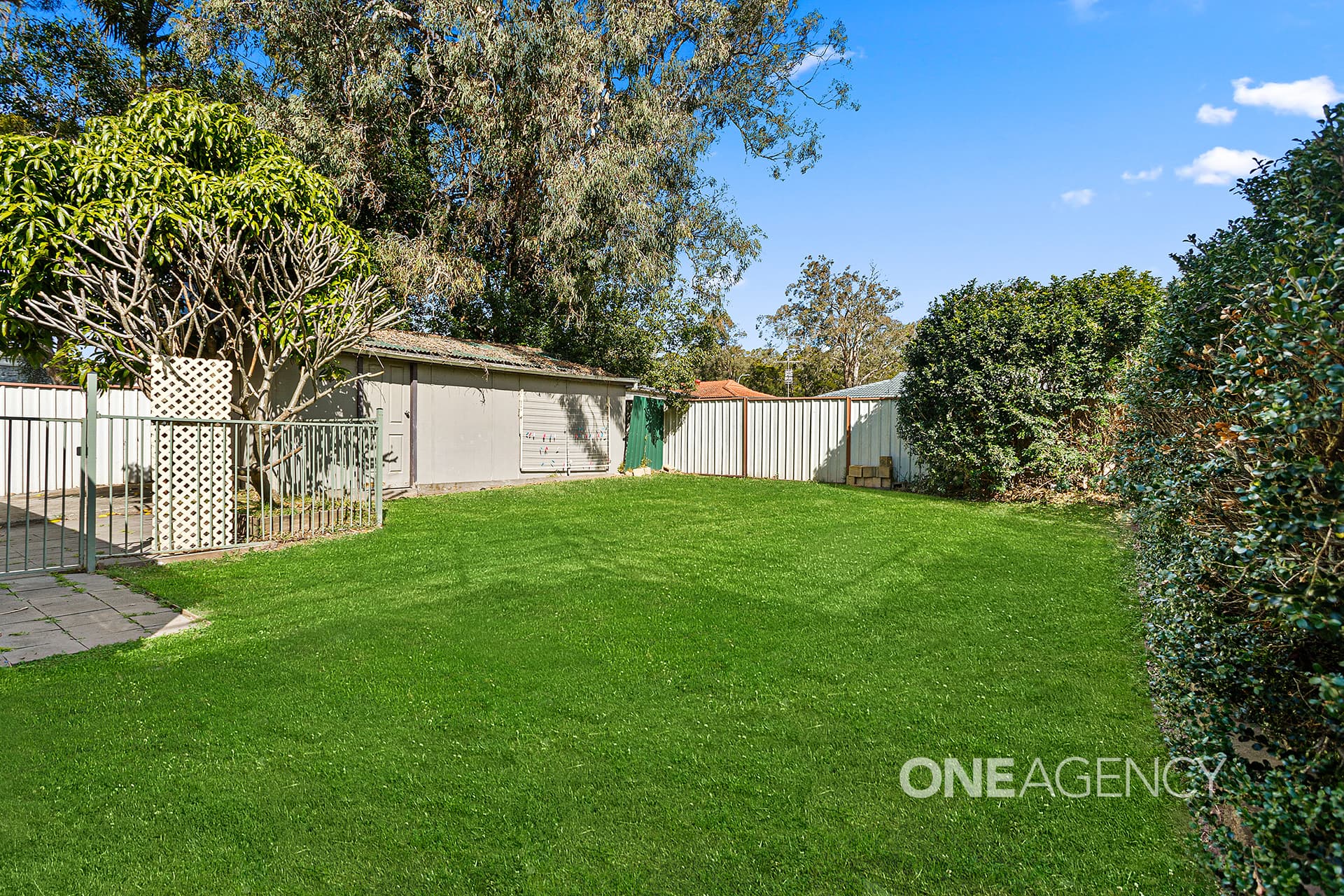 26 Laurel Street, Albion Park Rail, Albion Park Rail - Thumbnail 7