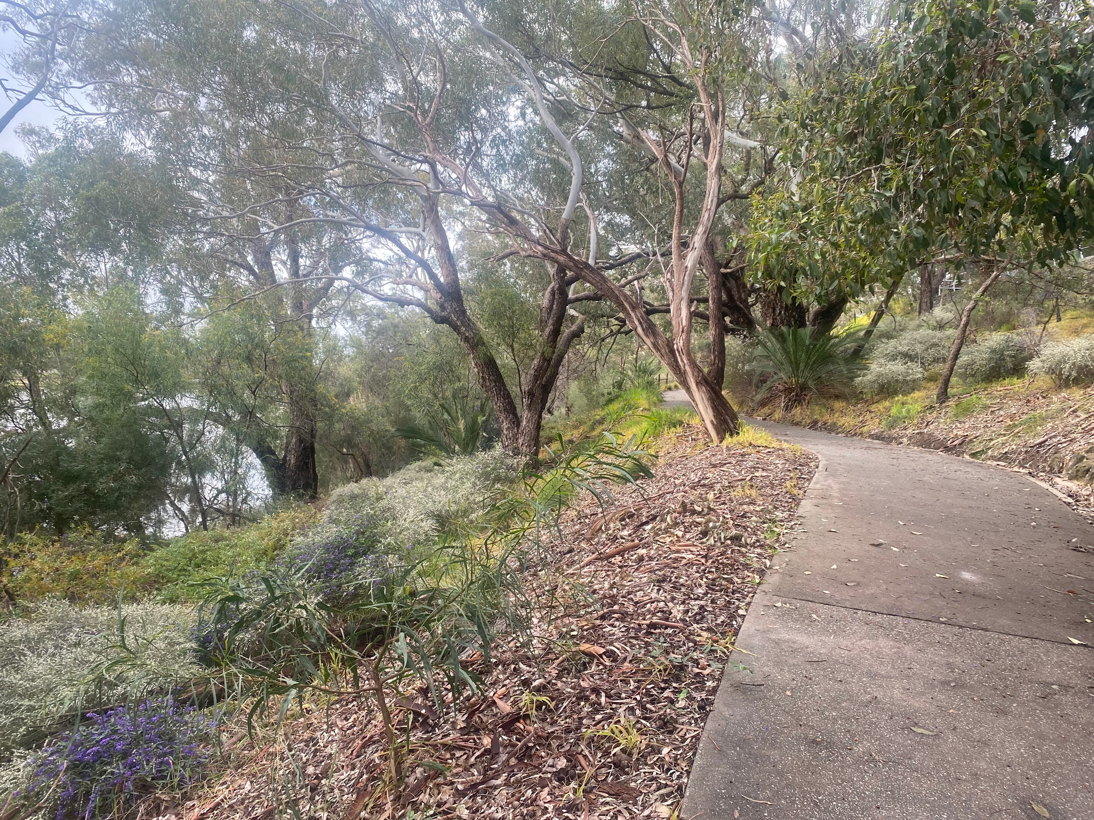 4/6 Minora Place, Rivervale, Rivervale - Thumbnail 3