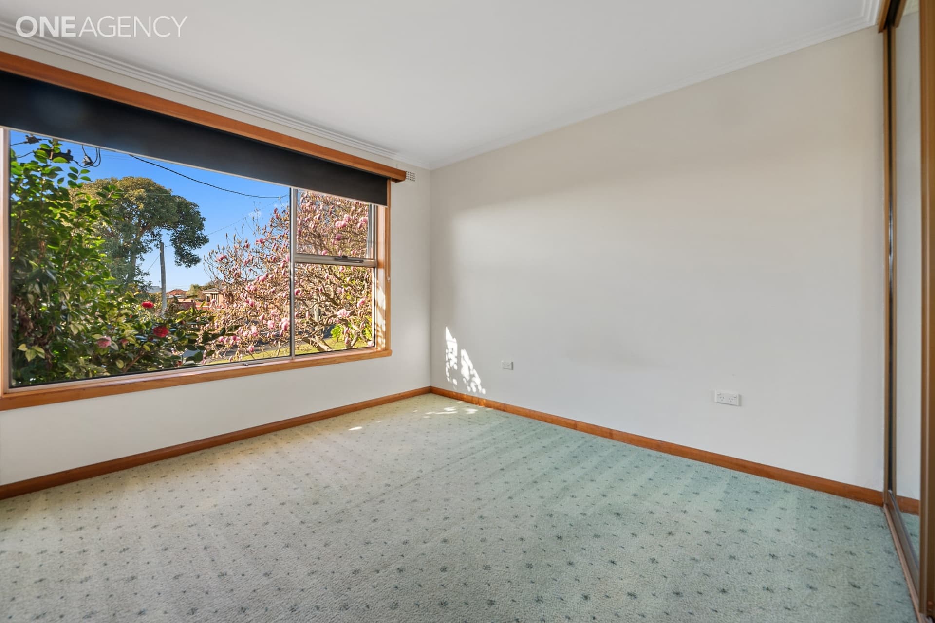 20 Percy Street, Devonport, Devonport - Thumbnail 8