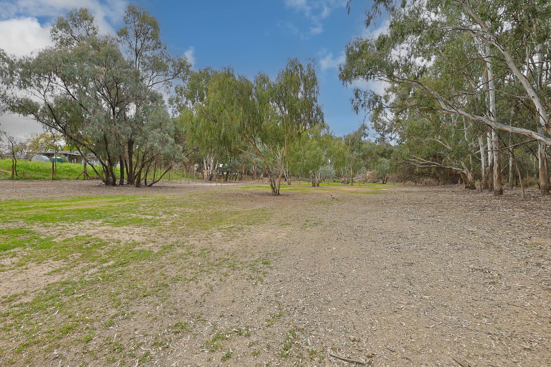 Billabong Road, Nichols Point, Nichols Point - Thumbnail 5