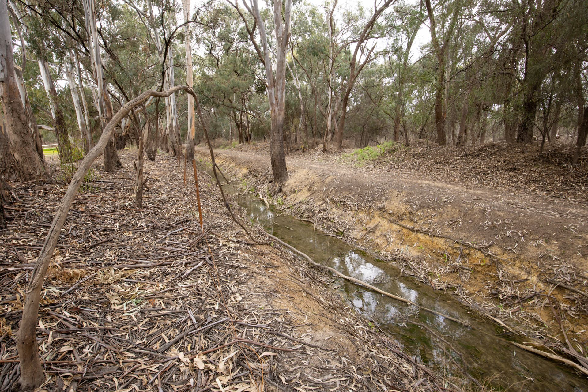 Billabong Road, Nichols Point, Nichols Point - Thumbnail 6