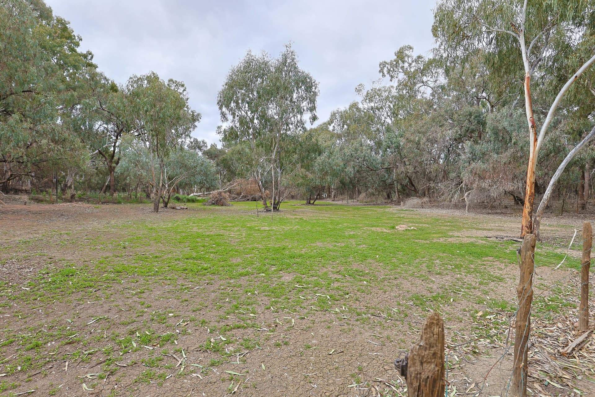 Billabong Road, Nichols Point, Nichols Point - Thumbnail 7