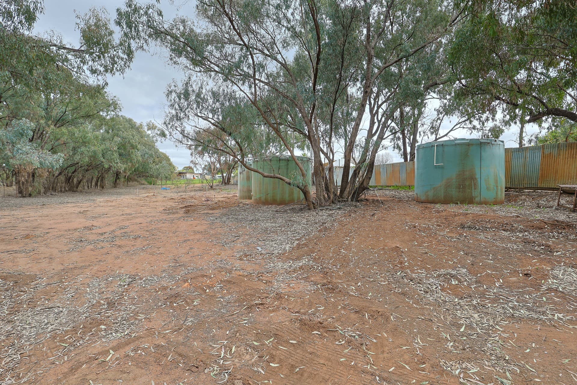 Billabong Road, Nichols Point, Nichols Point - Thumbnail 8