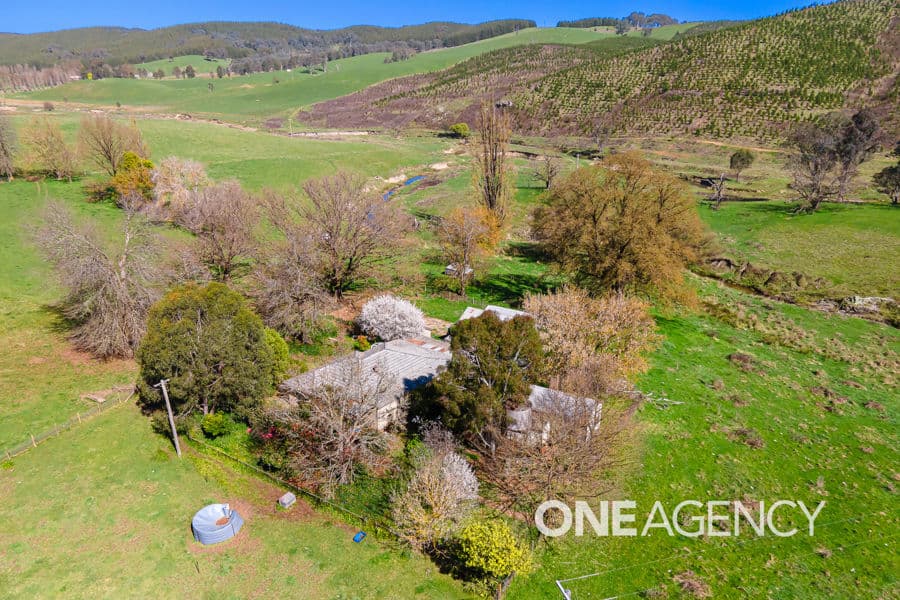 1235 COPPABELLA Road, Coppabella, Coppabella - Thumbnail 4