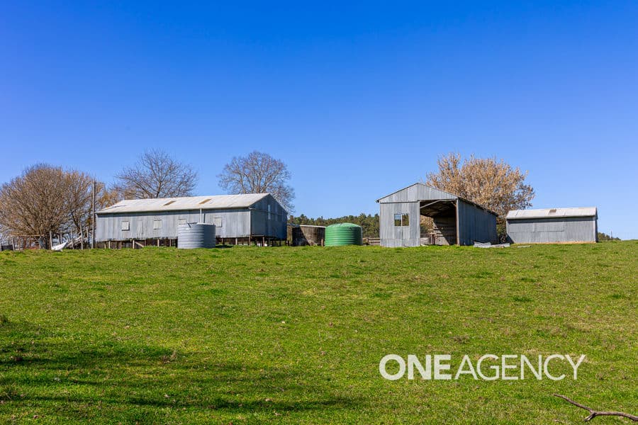1235 COPPABELLA Road, Coppabella, Coppabella - Thumbnail 5