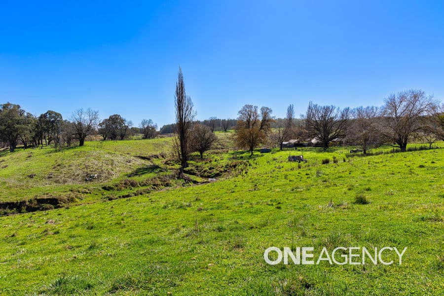 1235 COPPABELLA Road, Coppabella, Coppabella - Thumbnail 8