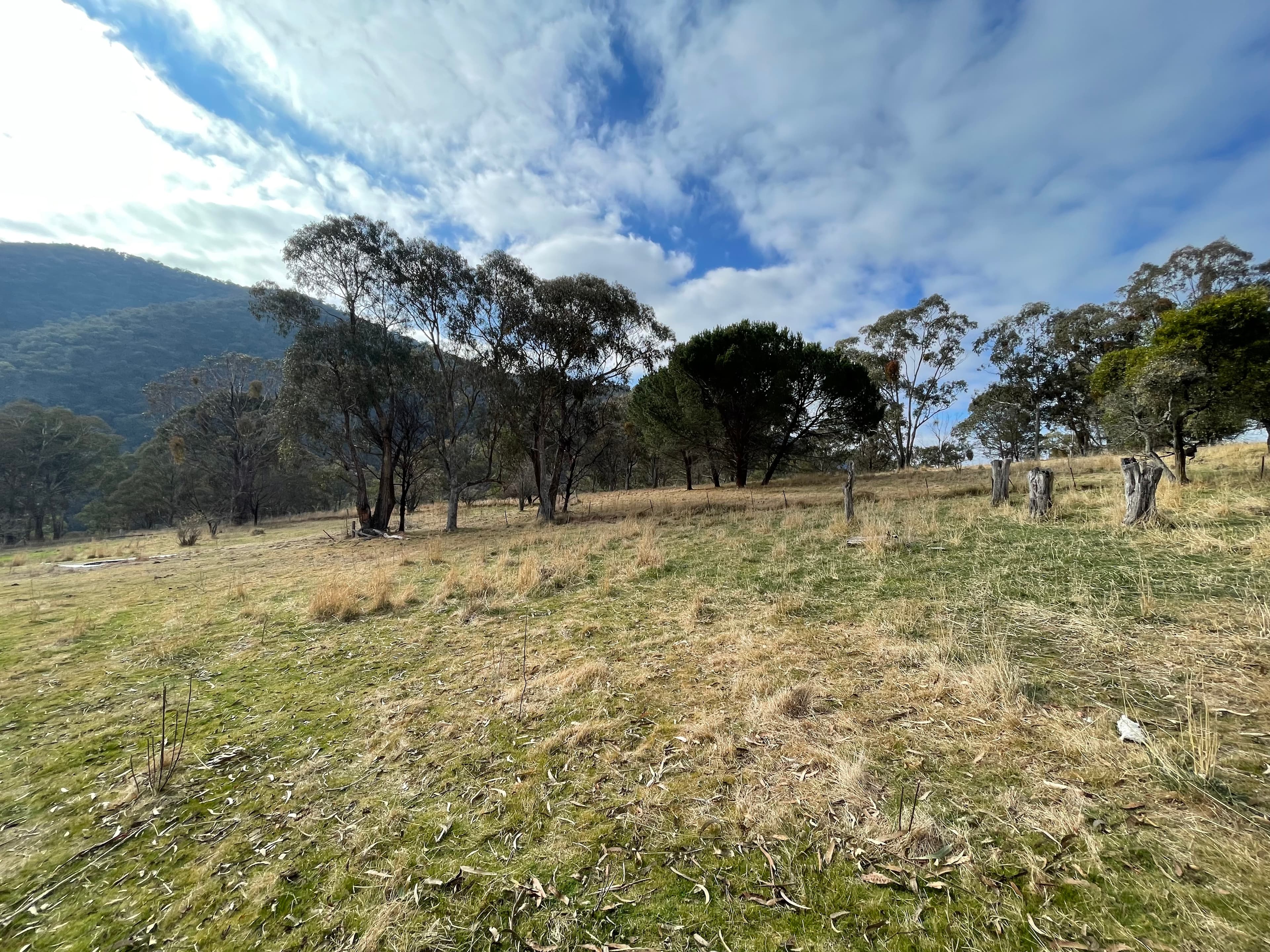 2395 Mckillops Road, Tubbut, Tubbut - Thumbnail 5
