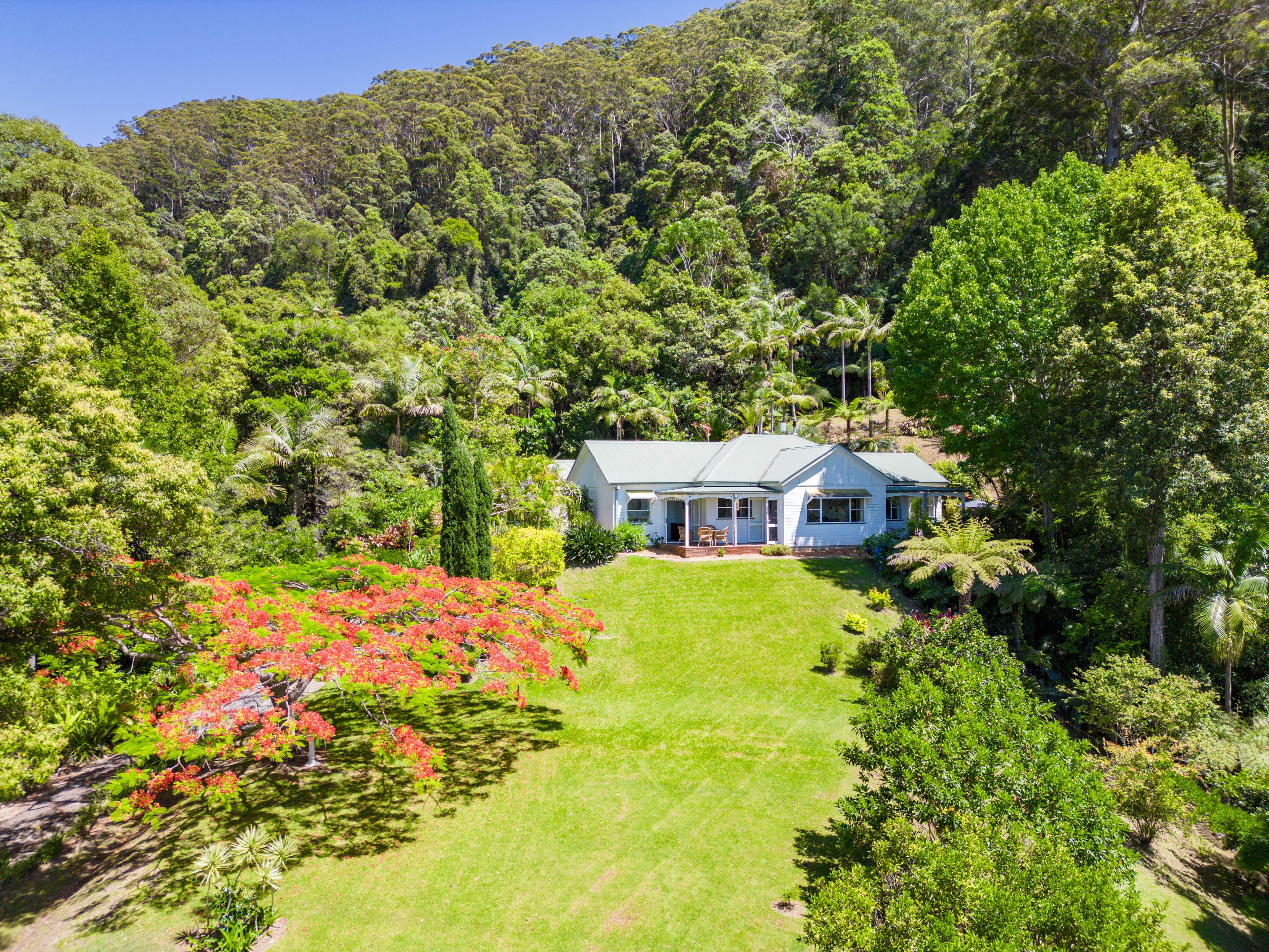 263 Shephards Lane, Coffs Harbour, Coffs Harbour - Thumbnail 2