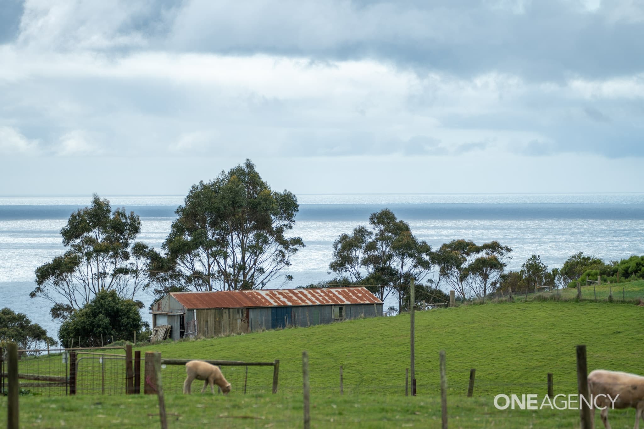 248 Tollymore Road, Table Cape, Table Cape - Thumbnail 2