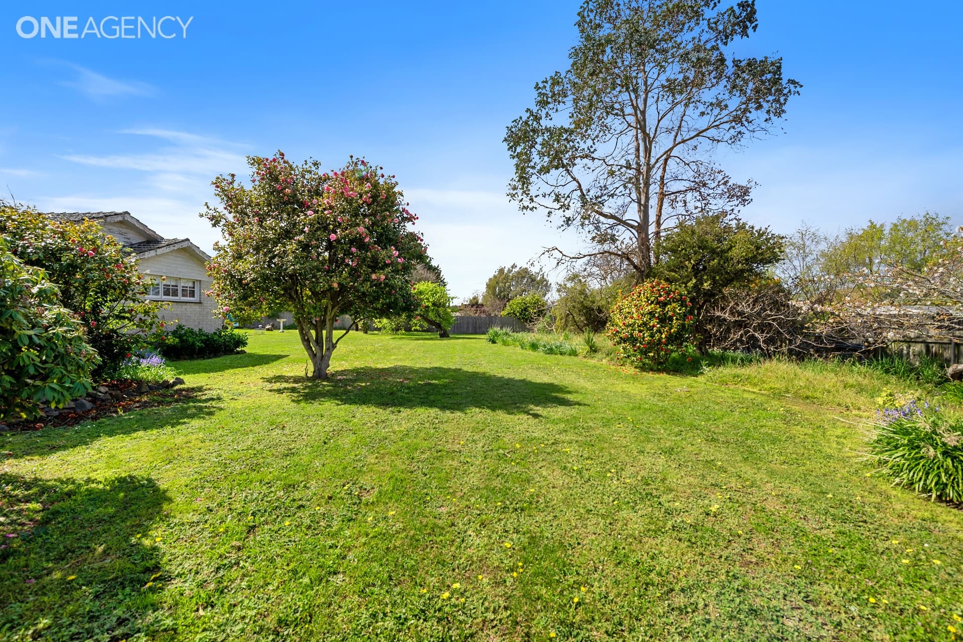 79 Drake Street, Devonport, Devonport - Thumbnail 3